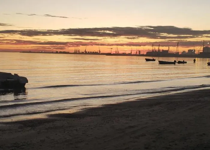 Pomegranates & Olives *