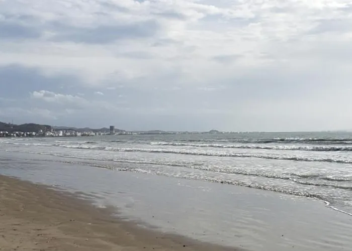 Pomegranates & Olives Durrës